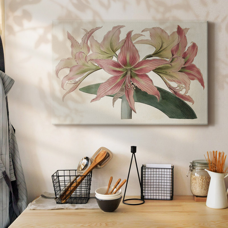 Toile tendue Amaryllis Varietals I-Gallery, H 12 po x l 18 po