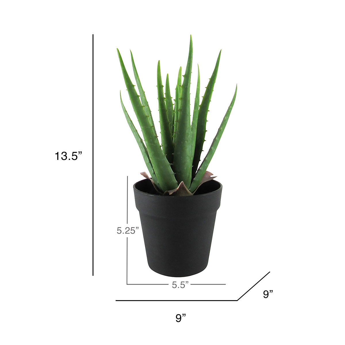 Plant in Pot,  13.5"H x 9" W x 9" D