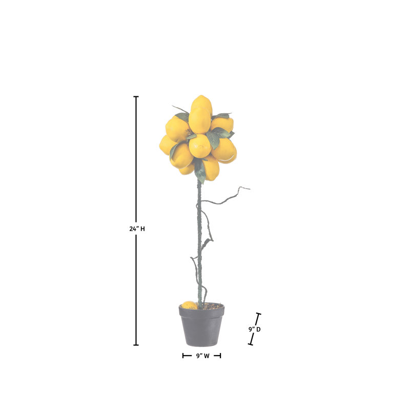 Topiaire en pot 24 po citron
