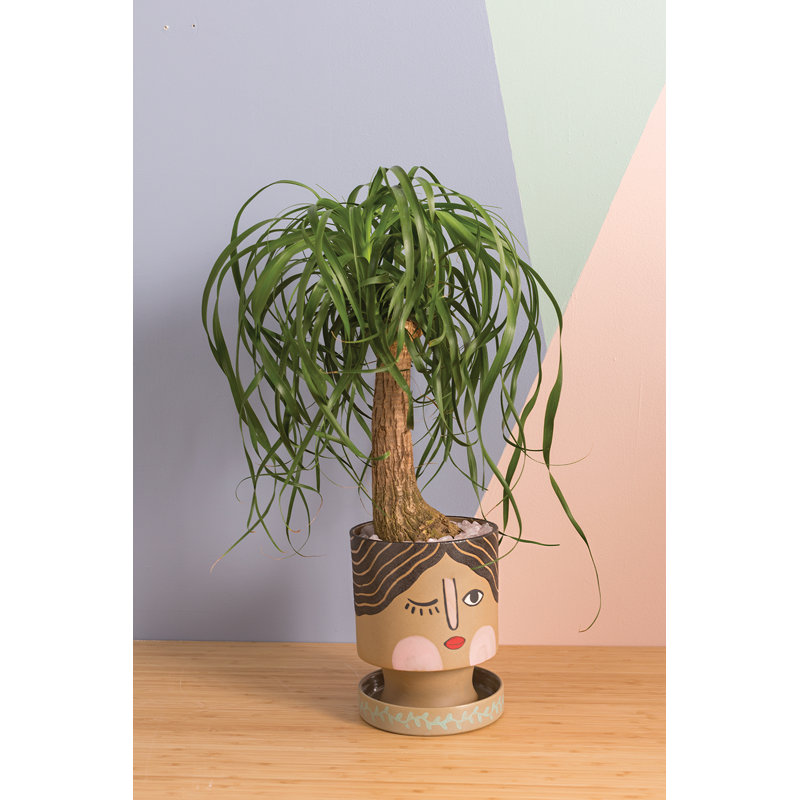 Messiah Handmade Ceramic Pot Planter