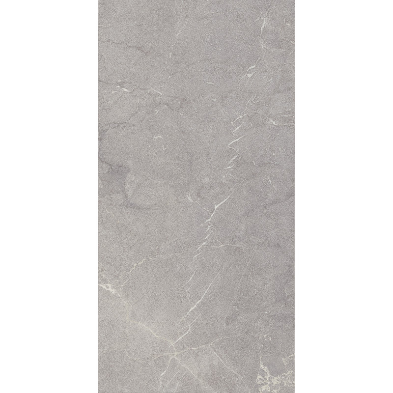 Societal 24" X 48" Porcelain Stone Look Tile, Palladian Mist