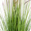 Pampas artificiel 27 po en pot