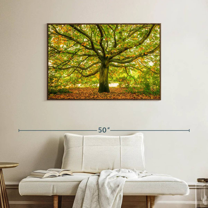Chêne de Londres, Cadre flottant en noyer, 40 po x 27 po
