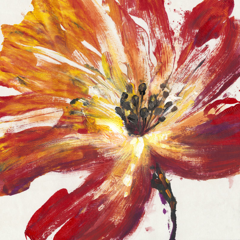 Fleur Rouge II by Tim OToole - Wrapped Canvas Painting, 30cm H x 30cm W x 3.8cm D