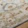 Inya Oriental Indoor Rug