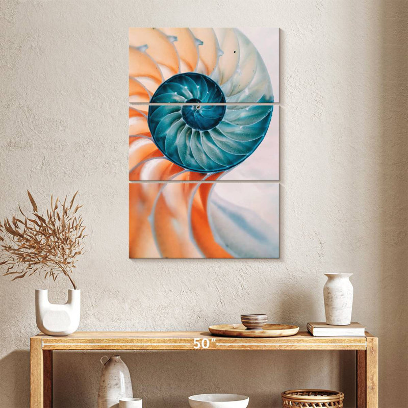 Brampt Translucent Nautilus Shell, 38" H x 24" W