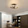 Creger 2-Light Double Round LED Ceiling Light Flush Mount Warm Light