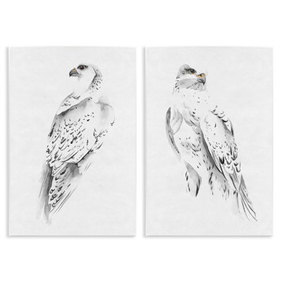 White Hawk Winter Birds Soft Speckled Feathers 2pc