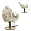 Fauteuil de coiffeur inclinable, chaises de salon hydrauliques à hauteur réglable, fauteuil de coiffeur pour salon de coiffure-1170792336