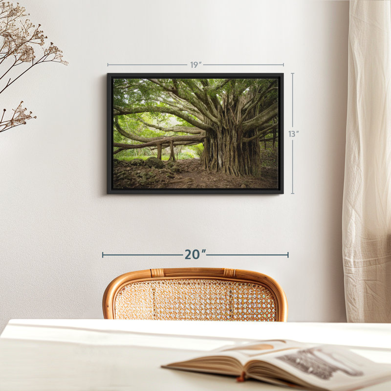 Impression sur toile Banyan Tree, H 13 po x l 19 po
