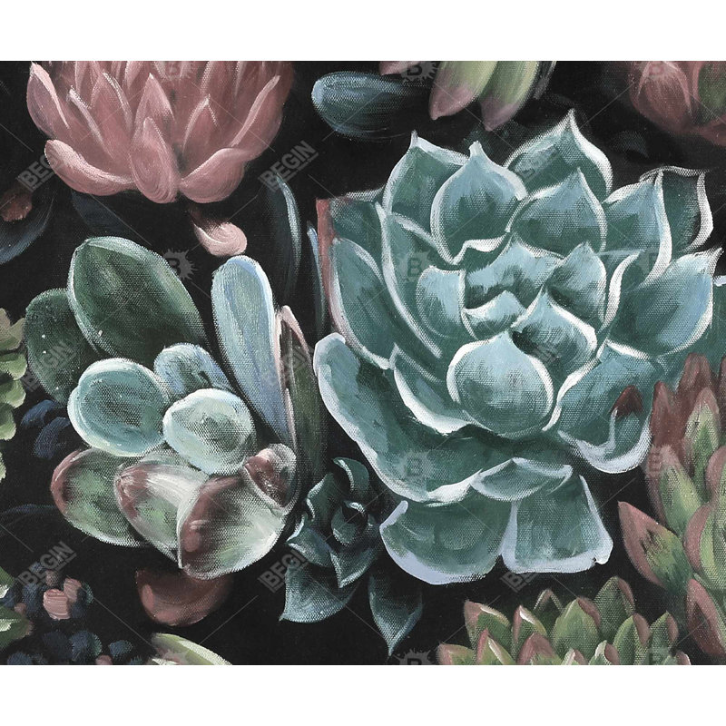 Succulent Set - Exotic Livingroom Framed Canvas Home Decor