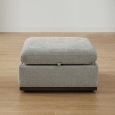 Sayette Upholstered Storage Ottoman by Latitude Run