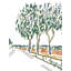 Tall Trees Print by Deborah Blum-65826252-65851934