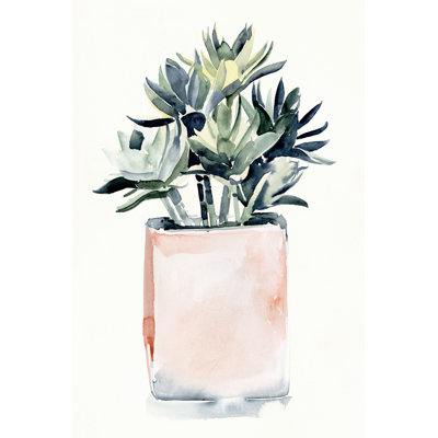 " Potted Succulent IV " by Jennifer Paxton Parker