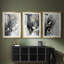ANIMALS Series Lxxx - impression encadrée sur mesure de qualité supérieure - 3 pièces-890103561-890103565