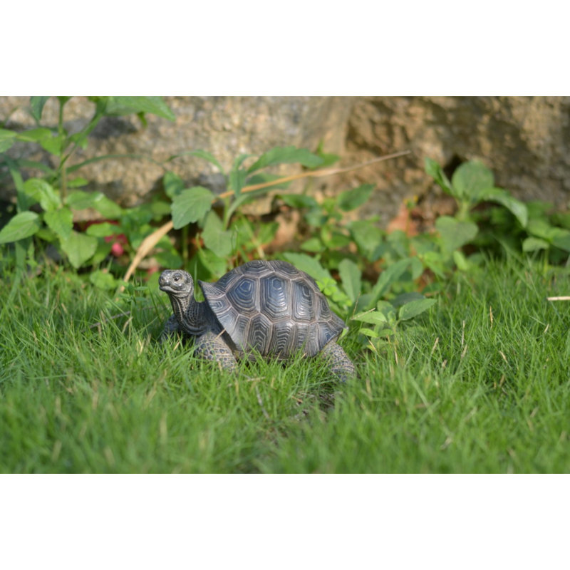 Realistic Grey-Brown Tortoise Garden Statue, 7 Inches