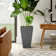 Robards Windsor Tall Tapered Square Planter