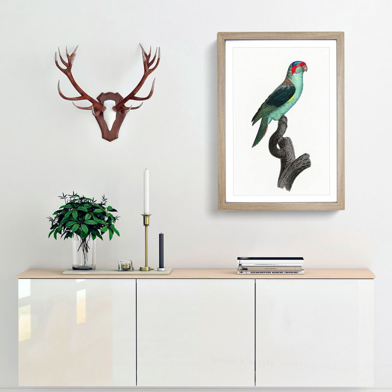 A Musk Lorikeet by F. Levaillant - Framed Print, 63cm H x 45cm W x 2cm D, Oak Framed
