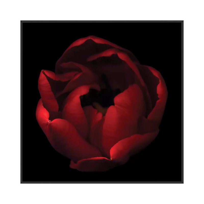 par Magda Indigo - impression d'art graphique, H 18 po x l 18 po x P 1,5 po, Toile encadrée noire, Aucun mat