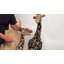 Set Of 2 Standing Giraffe