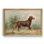 «Irish Setter I», reproduction d'art sur toile encadrée-71510919-71510923
