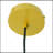 Pendant Lamp - Black Sprayed And Gold