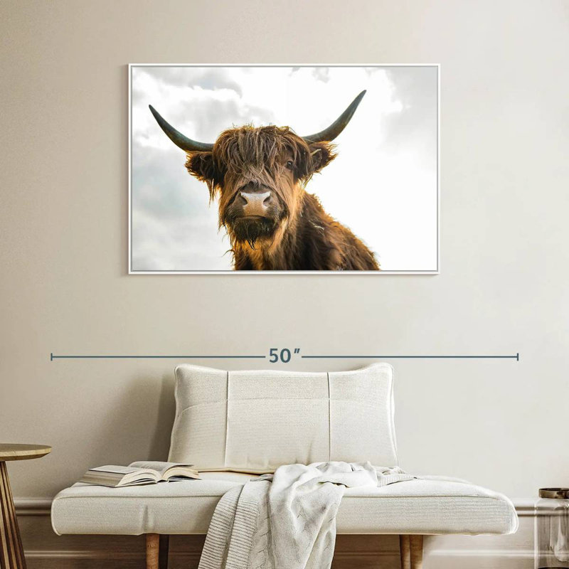 Image de vache, Cadre flottant blanc, 40 po x 27 po