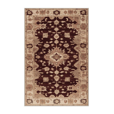 Machine Washable Overdyed Brown Area Rug