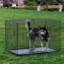 Latrell Folding Pet Crate-1587251897