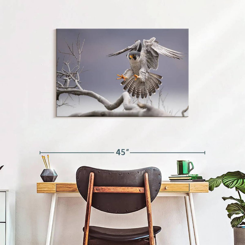 Peregrine Falcon, 24" H x 36" W