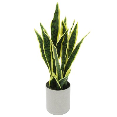 Artificial Sansevieria Snake Plant in Pot & Reviews | Joss & Main