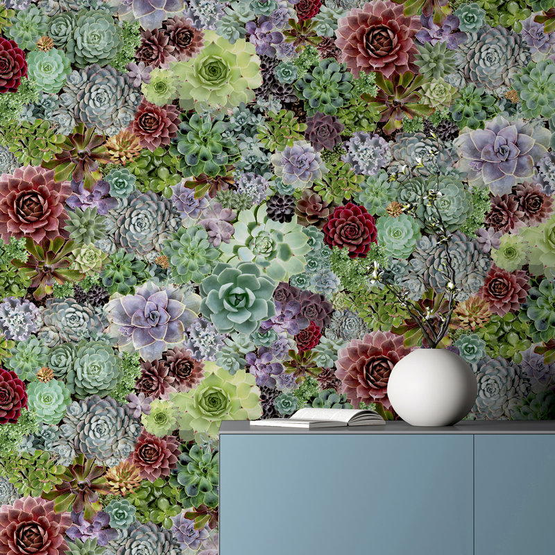 Rhea Succulents Wallpaper