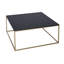 Licata Sled Coffee Table