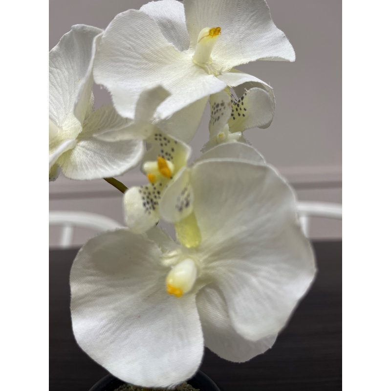 Fabric Orchid Arrangement in Pot, 0.27cm H x 0.12cm W x 0.08cm D, White/Purple