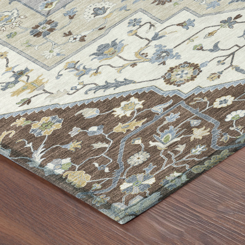 Machine Washable Indoor/Outdoor Chantille ACN2533 Traditional Rug, Chocolate, Rectangle 9' x 12'