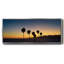 Dusk in Cali, toile encadrée-110623126
