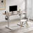 Khaseem 48" Adjustable Height Electric Standing Desk with Memory Controller and Hook-1285924128
