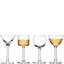 Lulu Handmade Glass Coupe and Martini Glass