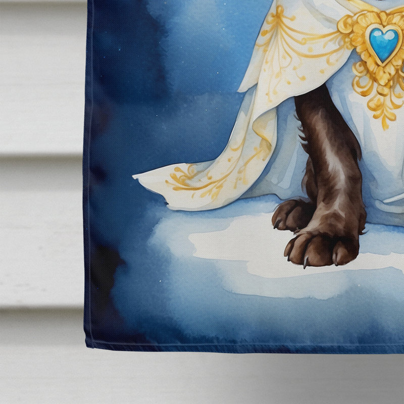 Drapeau Boykin Spaniel My Angel House