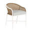 Havana Arm Chair-83259844-130056212-130056265