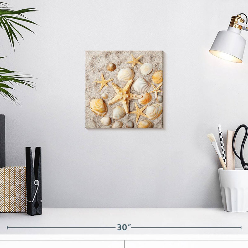 Coquillages décoratifs Aletra, H 10 po x l 10 po