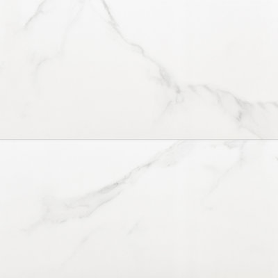 Adonis Pure 24" x 48" Porcelain Floor and Wall Tile