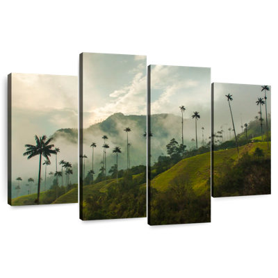 Alvord Foggy Valle De Cocora
