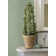 Estefan Green Distressed Texture