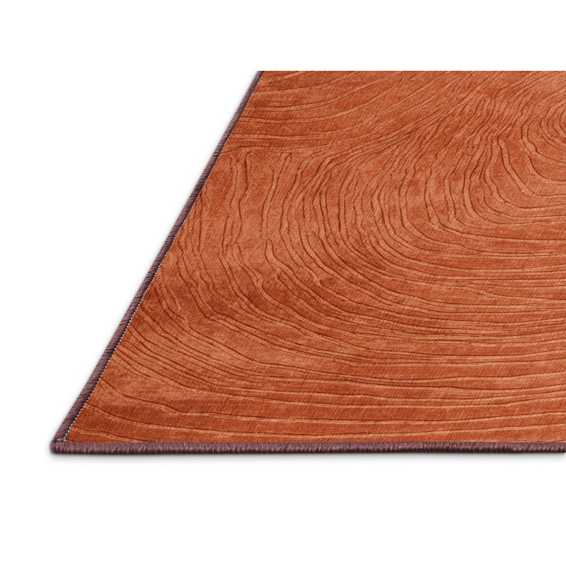 Machine Washable Abstract Brown Area Rug, Rectangle 6' x 9'