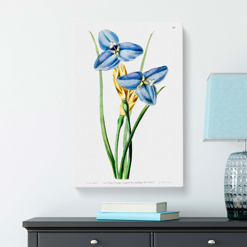 Blue Iris Flowers - Wrapped Canvas Painting Print, 60cm H x 40cm W x 3cm D
