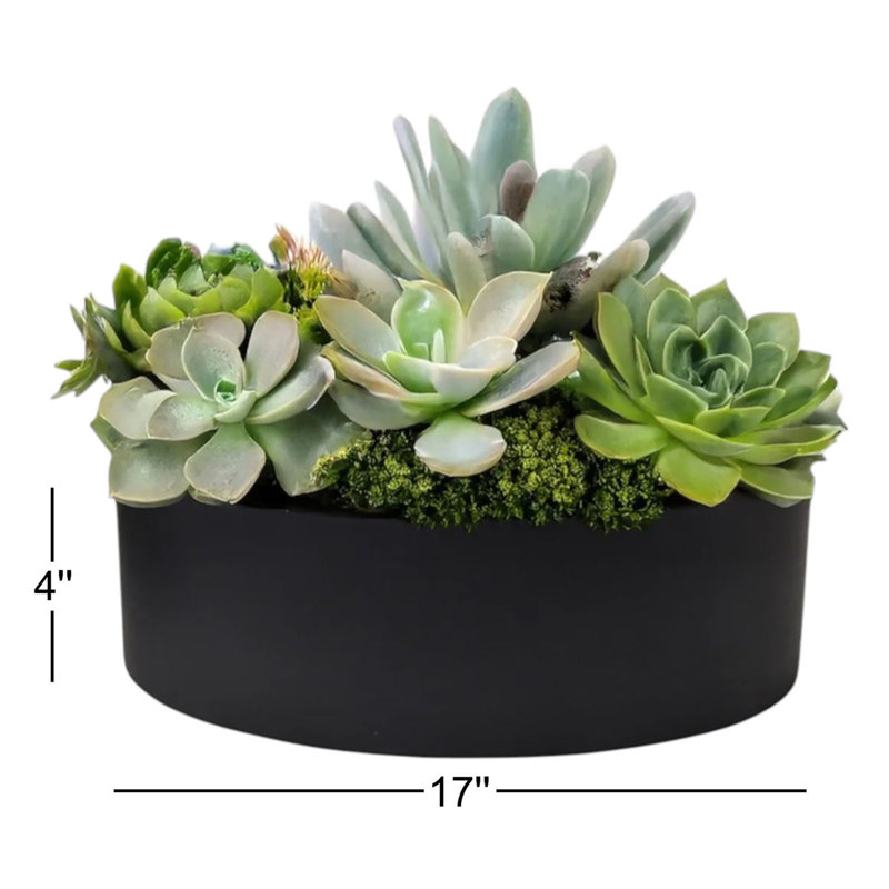 Vase de table Kali Fiberstone, H 4 po x l 17 po x P 17 po