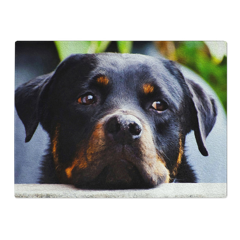 Rottweiler Dog  Glass Chopping Board