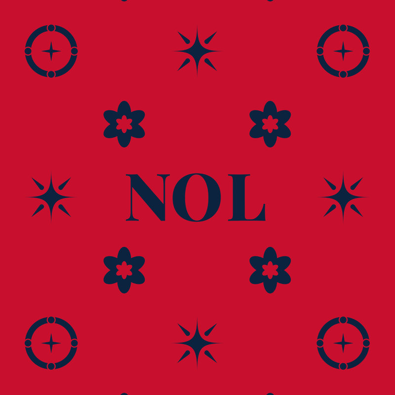 Coussin d'extérieur soufflé et fermé New Orleans Basketball 20 po x 14 po, Rouge / Noir