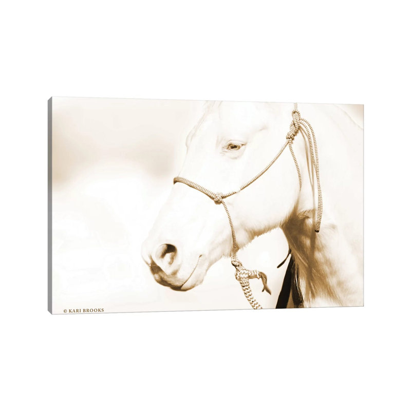 Sepia Medicine Man 1 Piece Wrapped Canvas Wall Art, 101.6 cm H x 66.04 cm W